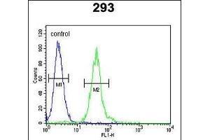Flow Cytometry (FACS) image for anti-Colony Stimulating Factor 1 (Macrophage) (CSF1) (AA 230-257) antibody (ABIN390719)