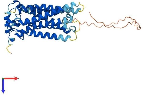 S1PR2 Protein (AA 1-353) (His tag)
