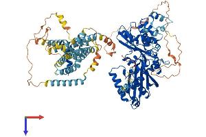 HMGCR Protein (AA 1-888) (His tag)