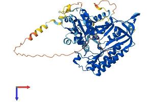 CDK5RAP1 Protein (AA 1-601) (His tag)