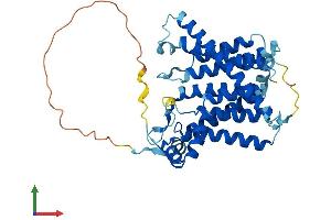 Protein Structure (PS) image for Sphingosine-1-Phosphate Phosphatase 2 (SGPP2) (AA 1-399) protein (His tag) (ABIN7546165)