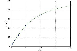 A typical standard curve
