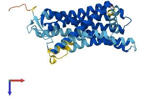 OR2M4 Protein (AA 1-311) (His tag)