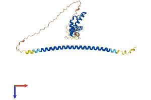 MSANTD3 Protein (AA 1-275) (His tag)