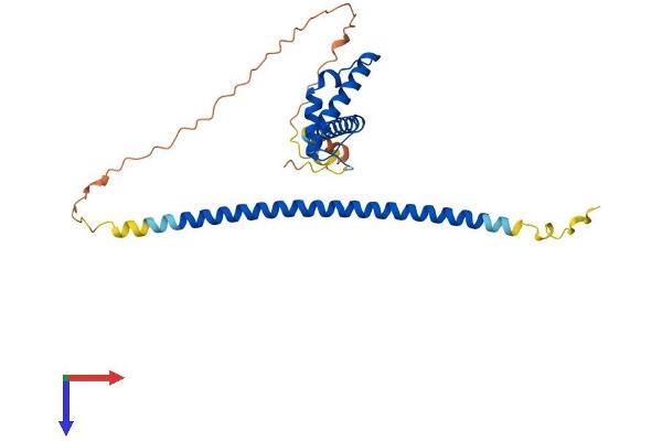 MSANTD3 Protein (AA 1-275) (His tag)