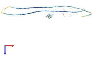 CCDC46 Protein (AA 1-955) (His tag)