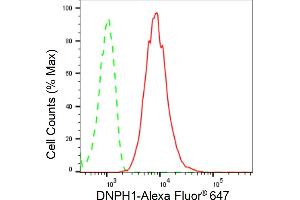 Flow cytometric analysis of DNPH1 expression in HepG2 cells using DNPH1 antibody (ABIN7798082), 1:2,000). (Rekombinanter RCL Antikörper)
