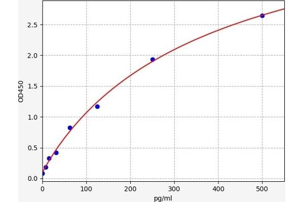 CCL20 ELISA Kit