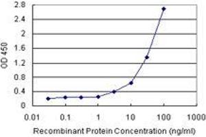 Sandwich ELISA detection sensitivity ranging from 10 ng/mL to 100 ng/mL. (BCAP29 (Human) Matched Antibody Pair)