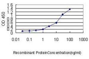 Detection limit for recombinant GST tagged DEPC-1 is approximately 0. (ALKBH3 Antikörper  (AA 1-139))