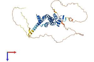 PRR5 Protein (AA 1-387) (His tag)