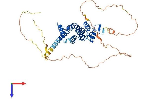 PRR5 Protein (AA 1-387) (His tag)