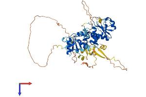 DUSP10 Protein (AA 1-483) (His tag)