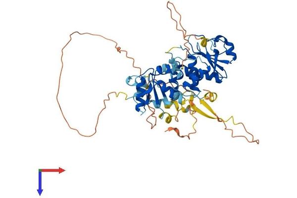 DUSP10 Protein (AA 1-483) (His tag)