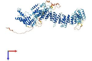 AlphaFold protein structure predicition of Human Recombinant ZSWIM4 Protein, UniprotID Q9H7M6