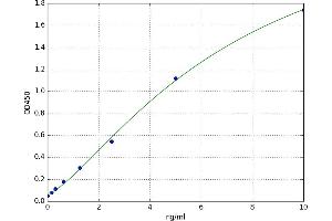 A typical standard curve