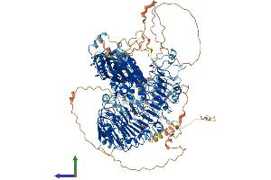 Protein Structure (PS) image for PH Domain and Leucine Rich Repeat Protein Phosphatase 2 (PHLPP2) (AA 1-1323) protein (His tag) (ABIN7554929)