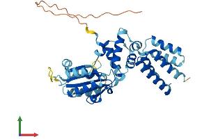 Protein Structure (PS) image for Replication Factor C (Activator 1) 4, 37kDa (RFC4) (AA 1-364) protein (His tag) (ABIN7560300)