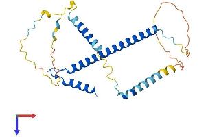 CCDC59 Protein (AA 1-240) (His tag)