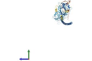 Protein Structure (PS) image for BRCA1 Associated Protein (BRAP) (AA 1-592) protein (His tag) (ABIN7552881)