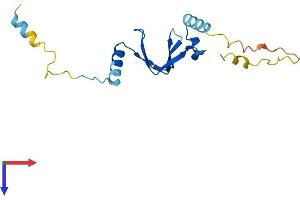 BTF3L4 Protein (AA 1-158) (His tag)