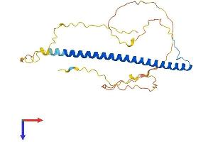 TFPT Protein (AA 1-259) (His tag)