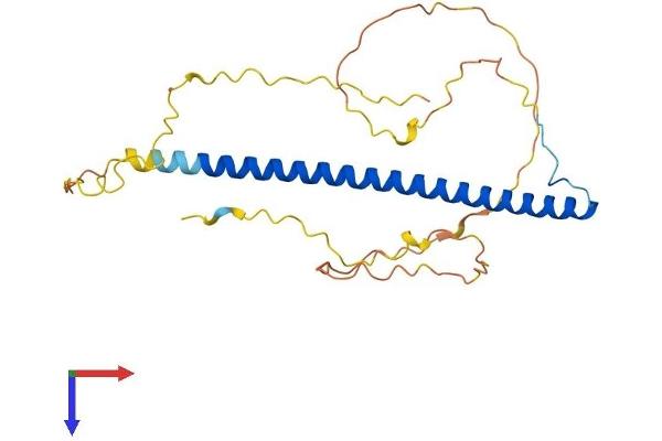 TFPT Protein (AA 1-259) (His tag)