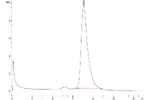 Size-exclusion chromatography-High Pressure Liquid Chromatography (SEC-HPLC) image for Poliovirus Receptor (PVR) (AA 21-343) protein (His-Avi Tag) (ABIN7274080)