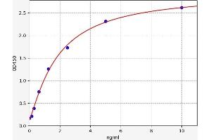 Angiopoietin 1 (ANGPT1) ELISA Kit