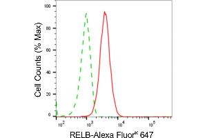 Flow cytometric analysis of RELB expression in C2C12 cells using RELB antibody (ABIN7800805), 1:2,000). (Rekombinanter RELB Antikörper)