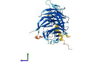 Protein Structure (PS) image for NHL Repeat Containing 1 (NHLRC1) (AA 1-395) protein (His tag) (ABIN7554717)