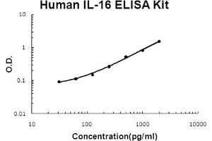 Human IL-16 Accusignal ELISA Kit Human IL-16 AccuSignal ELISA Kit standard curve.
