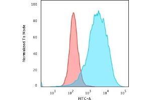 Flow Cytometric Analysis of PFA-fixed K562 cells using CD43 Rabbit Recombinant Monoclonal Antibody (SPN/2049R) followed by Goat anti-rabbit IgG-CF488 (Blue); Isotype Control (Red)