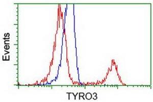 Image no. 2 for anti-TYRO3 Protein Tyrosine Kinase (TYRO3) antibody (ABIN1501603) (TYRO3 Antikörper)