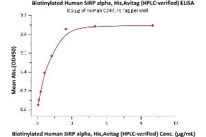 Immobilized Human CD47, Fc Tag (ABIN2180806,ABIN2180805) at 5 μg/mL (100 μL/well) can bind Biotinylated Human SIRP alpha, His,Avitag (ABIN6731335,ABIN6809947) with a linear range of 0.