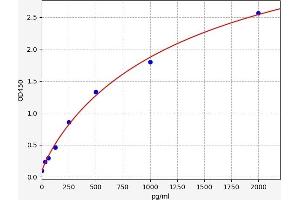 Retinoic Acid Receptor Responder (Tazarotene Induced) 2 (RARRES2) ELISA Kit