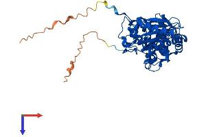 ILF2 Protein (AA 1-390) (His tag)