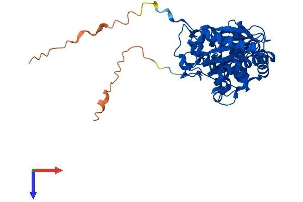ILF2 Protein (AA 1-390) (His tag)