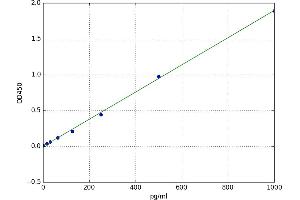 Glutamine Synthetase (GLN1) ELISA Kit