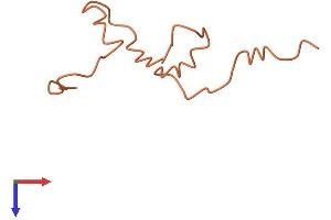 KRTAP8-1 Protein (AA 1-63) (Fc Tag)