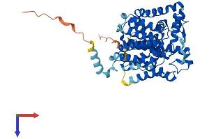 ALG3 Protein (AA 1-438) (His tag)