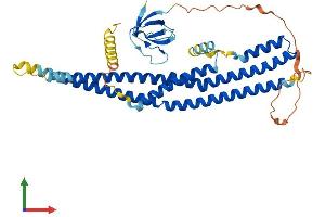 Protein Structure (PS) image for SH3-Domain GRB2-Like Endophilin B2 (SH3GLB2) (AA 1-400) protein (His tag) (ABIN7559747)