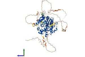 Protein Structure (PS) image for Myotubularin Related Protein 14 (MTMR14) (AA 1-650) protein (His tag) (ABIN7549580)