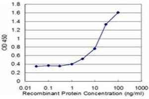 Detection limit for recombinant GST tagged RAD1 is approximately 1ng/ml as a capture antibody. (RAD1 Antikörper  (AA 1-90))