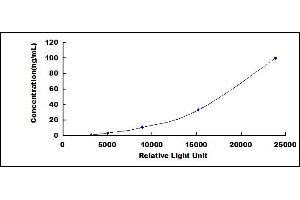 ELISA image for Alanine Aminotransferase (ALT) CLIA Kit (ABIN1081207)