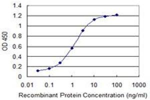 Detection limit for recombinant GST tagged PDCL3 is 0. (PDCL3 Antikörper  (AA 1-239))