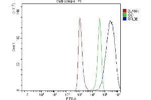 Flow Cytometry analysis of HEL cells using anti-RPL36 antibody (ABIN7602917). (RPL36 Antikörper  (C-Term))