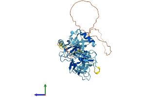 Protein Structure (PS) image for Parkinson Protein 2, E3 Ubiquitin Protein Ligase (Parkin) (PARK2) (AA 1-464) protein (His tag) (ABIN7565251)