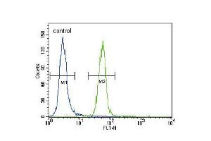 Flow cytometric analysis of Hela cells (right histogram) compared to a negative control cell (left histogram). (FYN Antikörper  (N-Term))