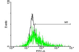 FACS analysis of negative control 293 cells (Black) and GLIPR1L1 expressing 293 cells (Green) using GLIPR1L1 purified MaxPab mouse polyclonal antibody. (GLIPR1L1 Antikörper  (AA 1-233))